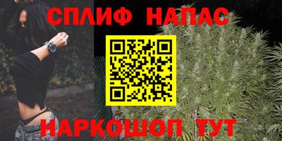 ALPHA PVP Гатчина